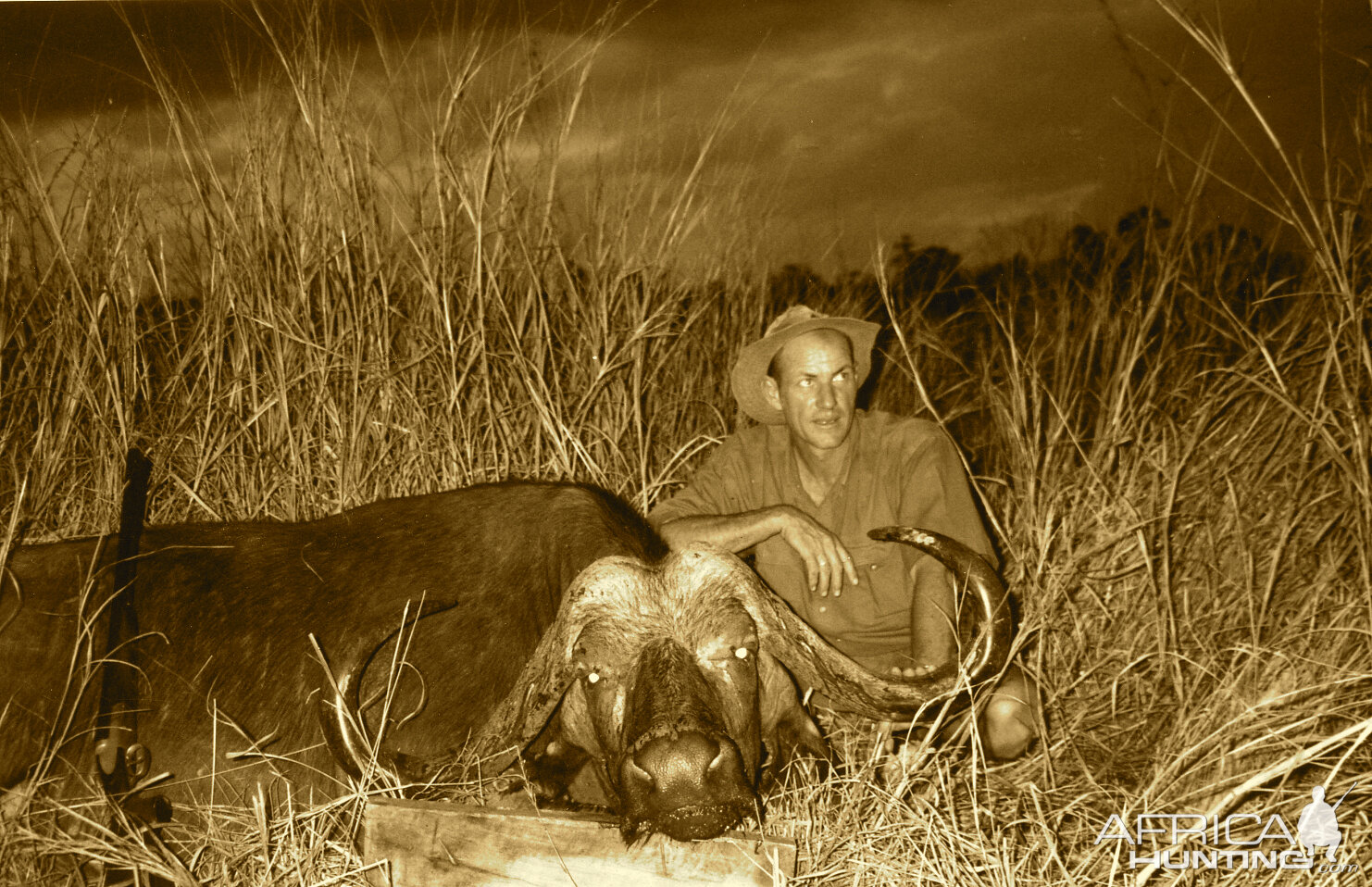 Hunting Buffalo in Tanzania