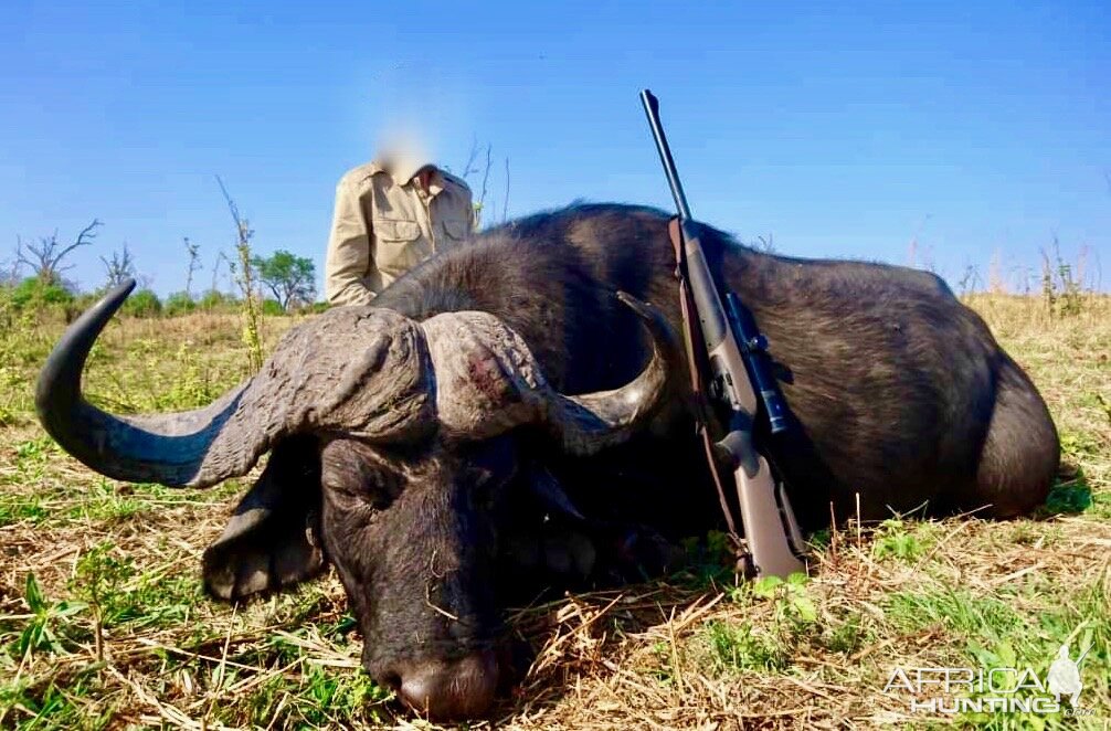 Hunting Buffalo in Tanzania