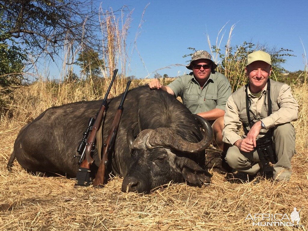 Hunting Buffalo in Zimbabwe