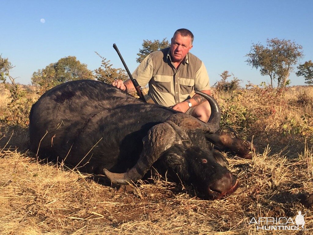 Hunting Buffalo in Zimbabwe