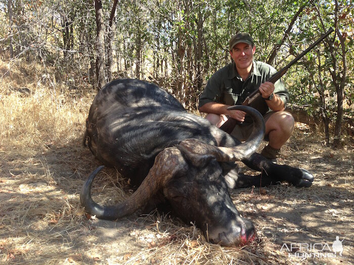 Hunting Buffalo in Zimbabwe