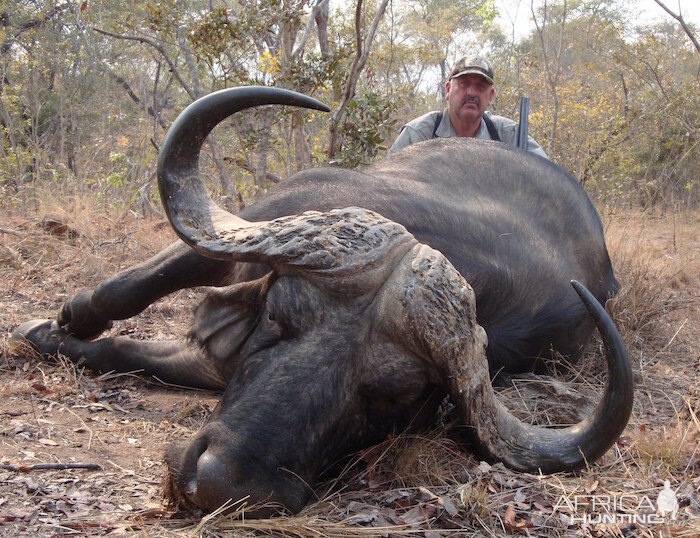 Hunting Buffalo in Zimbabwe