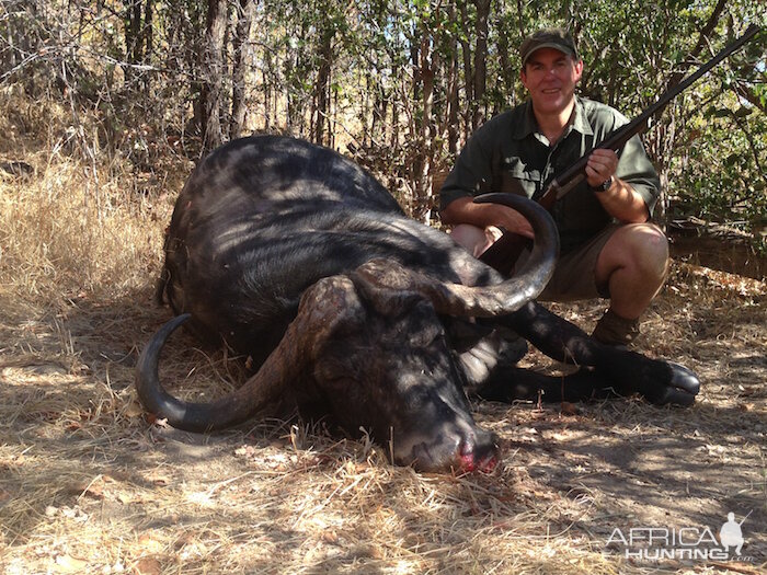 Hunting Buffalo in Zimbabwe