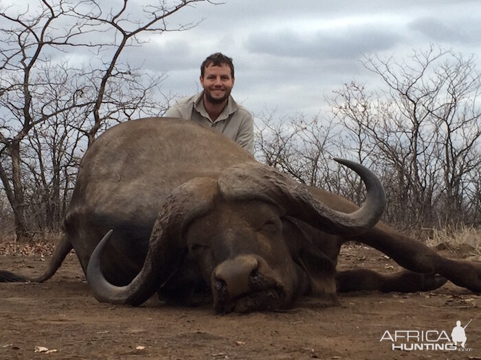 Hunting Buffalo in Zimbabwe