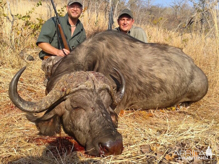 Hunting Buffalo in Zimbabwe