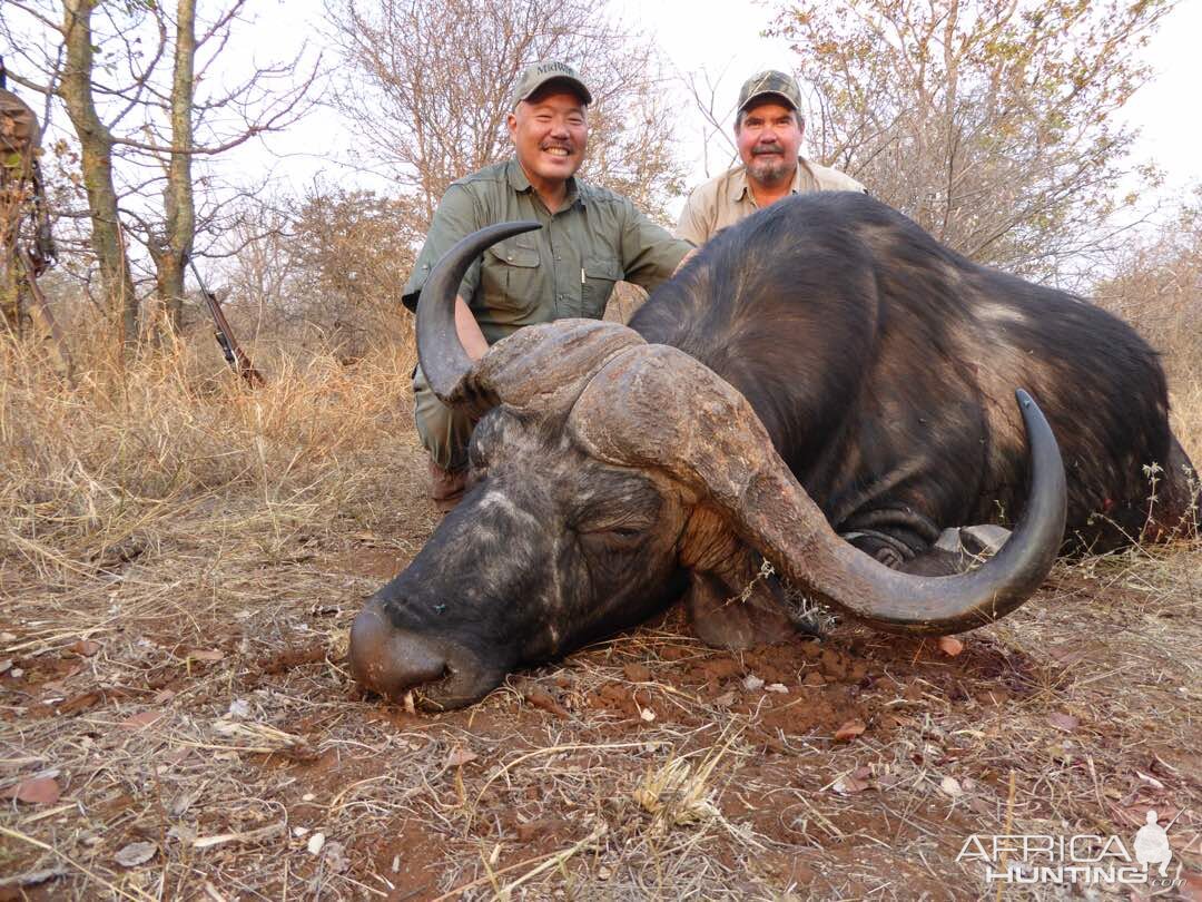 Hunting Buffalo in Zimbabwe