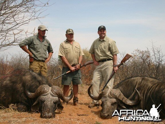 Hunting Buffalo Namibia