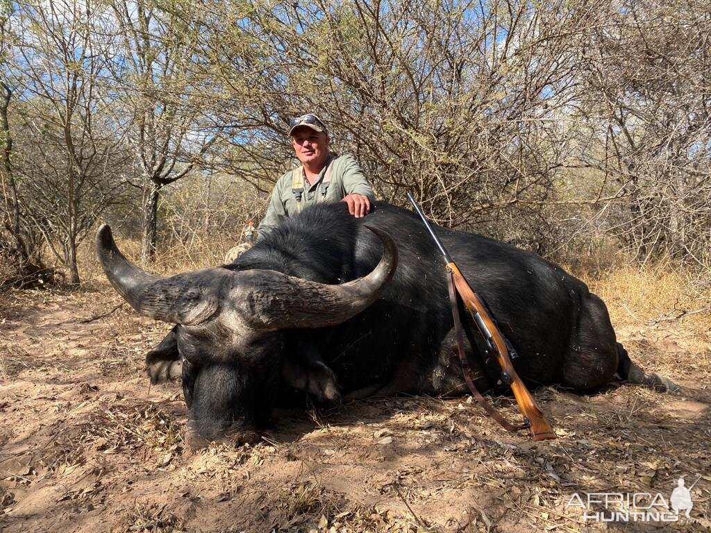 Hunting Buffalo South Africa