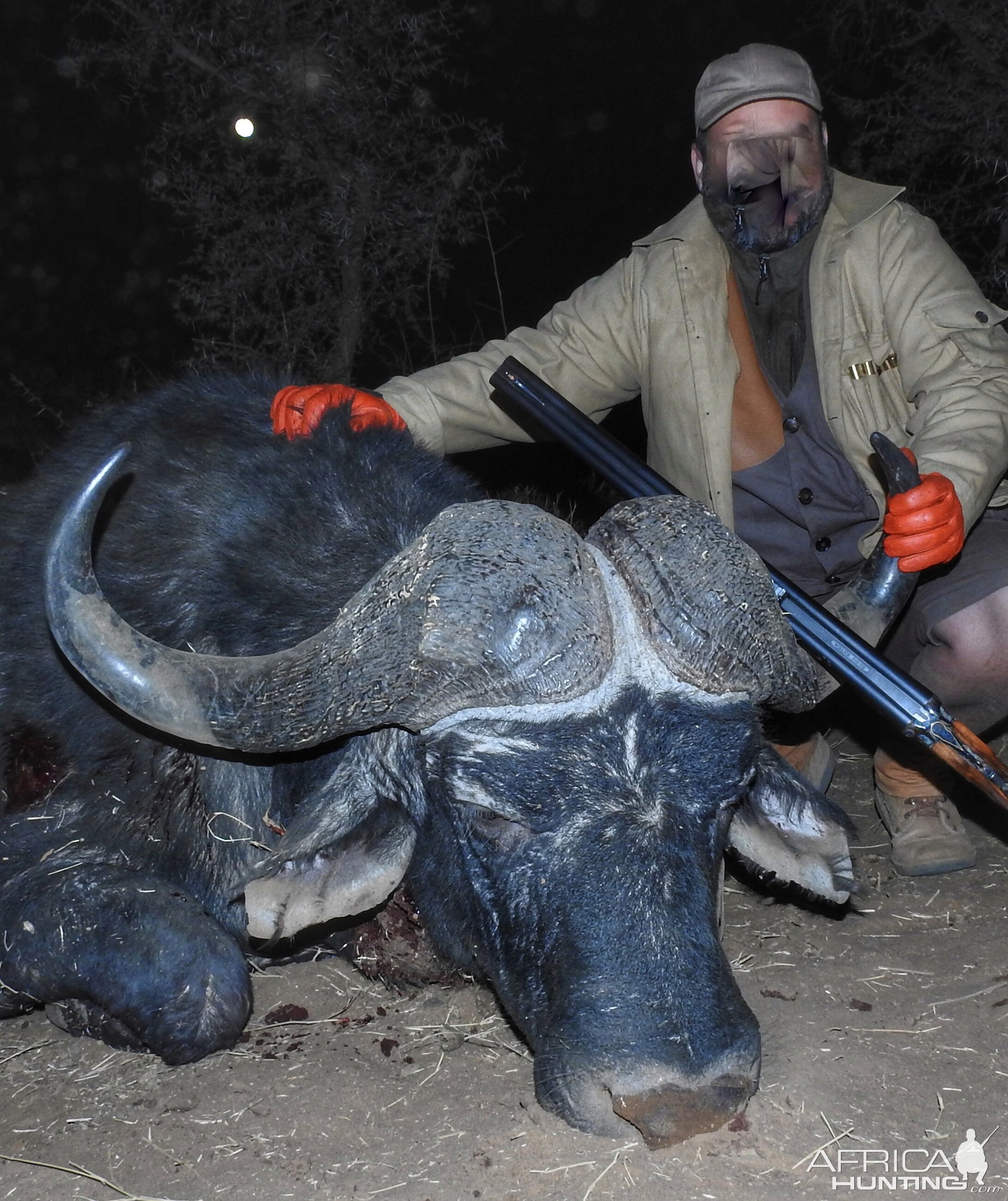 Hunting Buffalo South Africa