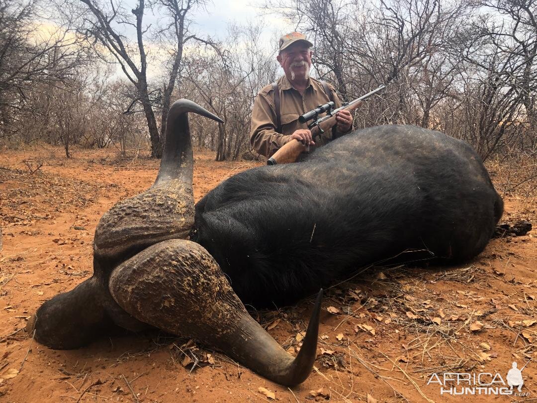 Hunting Buffalo South Africa