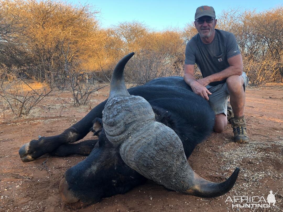 Hunting Buffalo South Africa