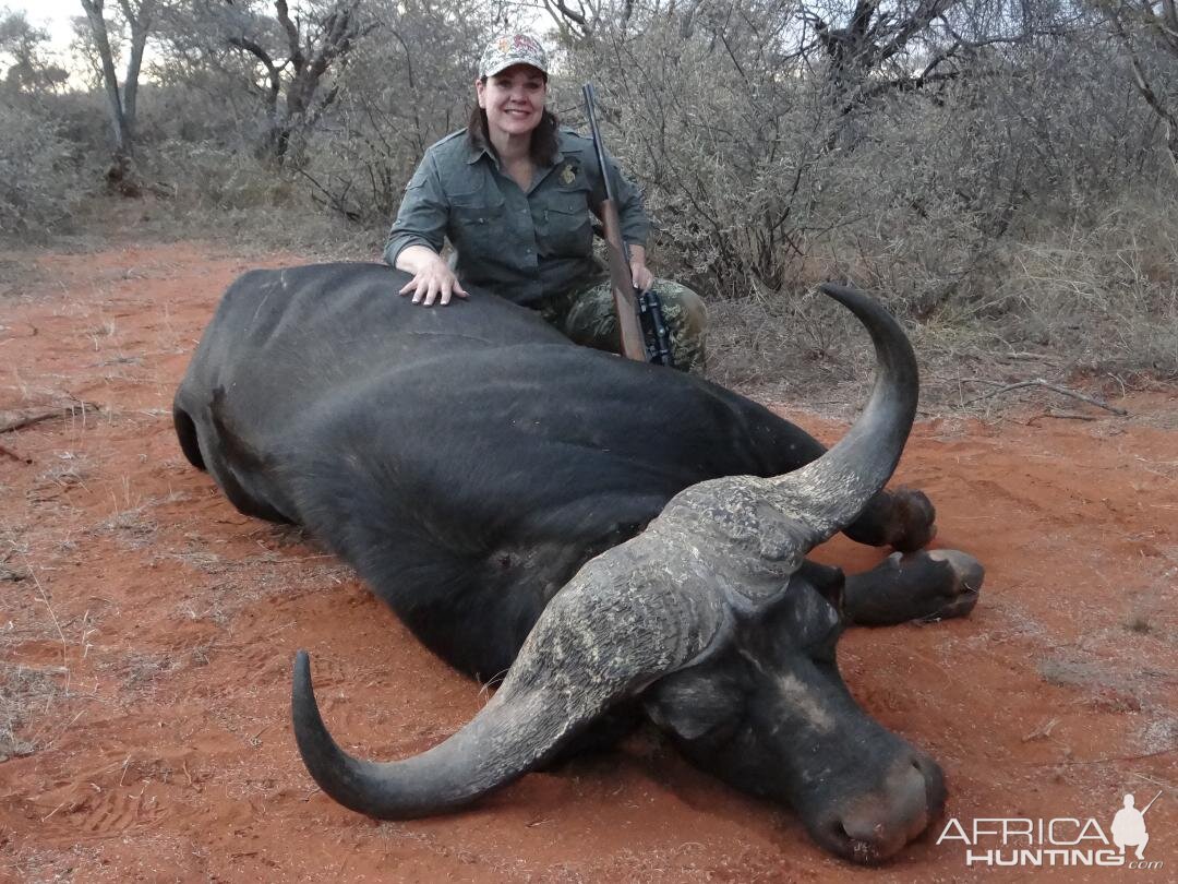 Hunting Buffalo South Africa