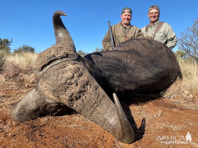 Hunting Buffalo South Africa