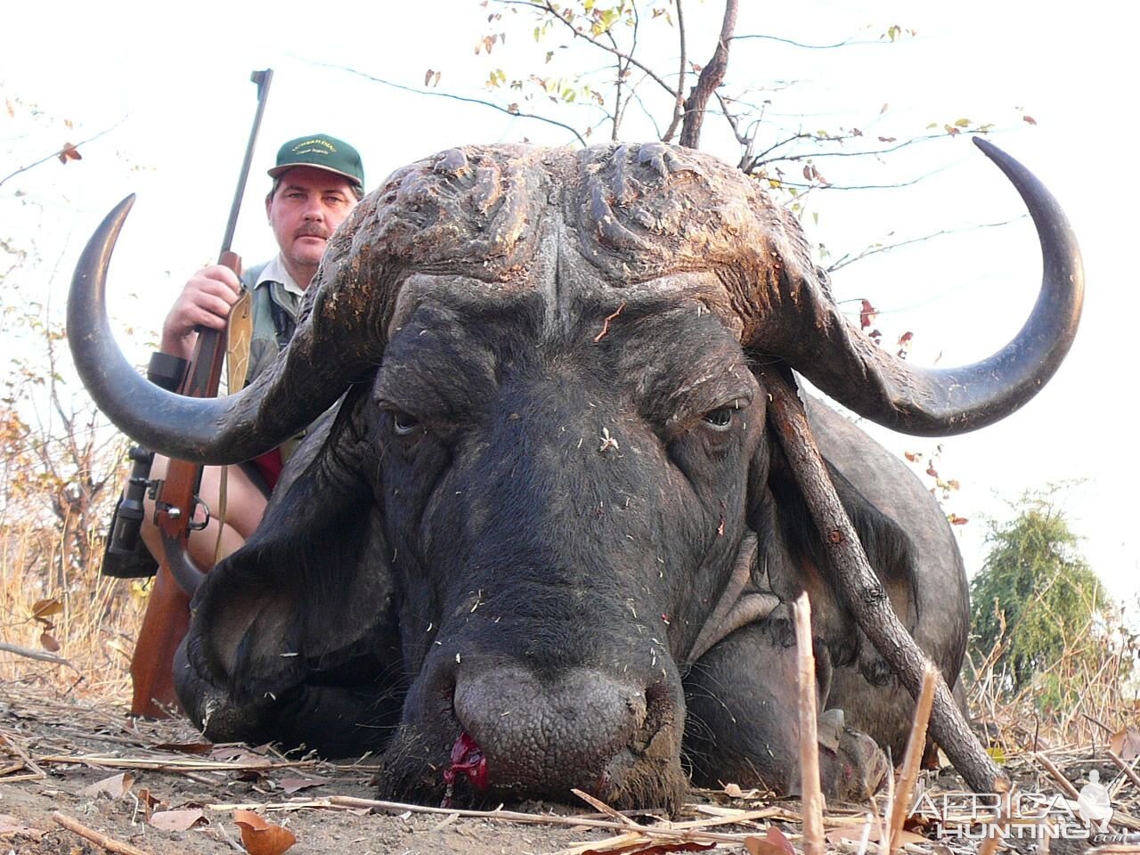 Hunting Buffalo South Africa