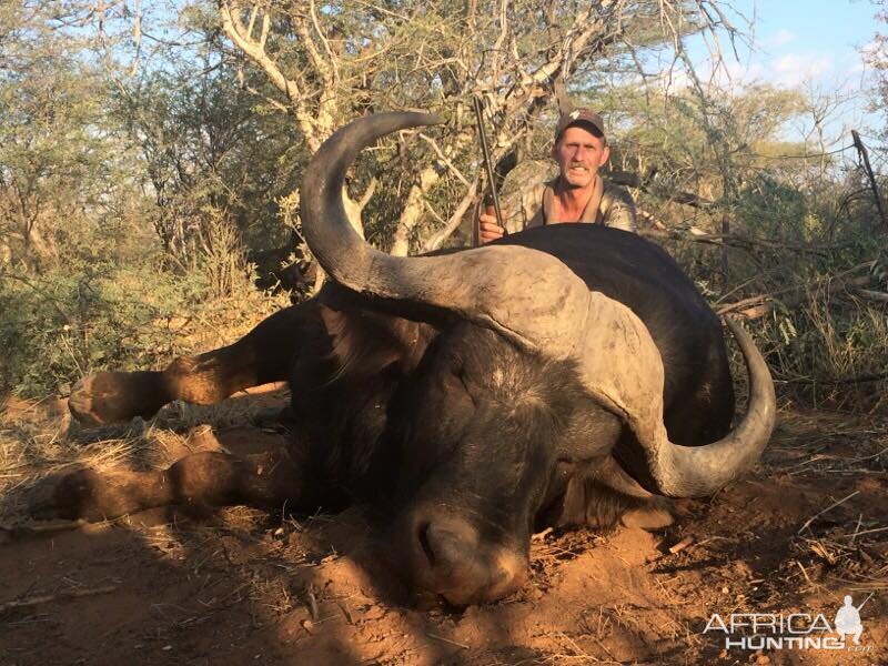 Hunting Buffalo South Africa