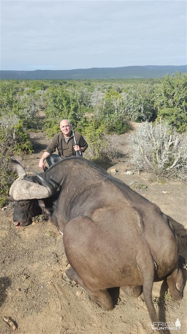 Hunting Buffalo South Africa