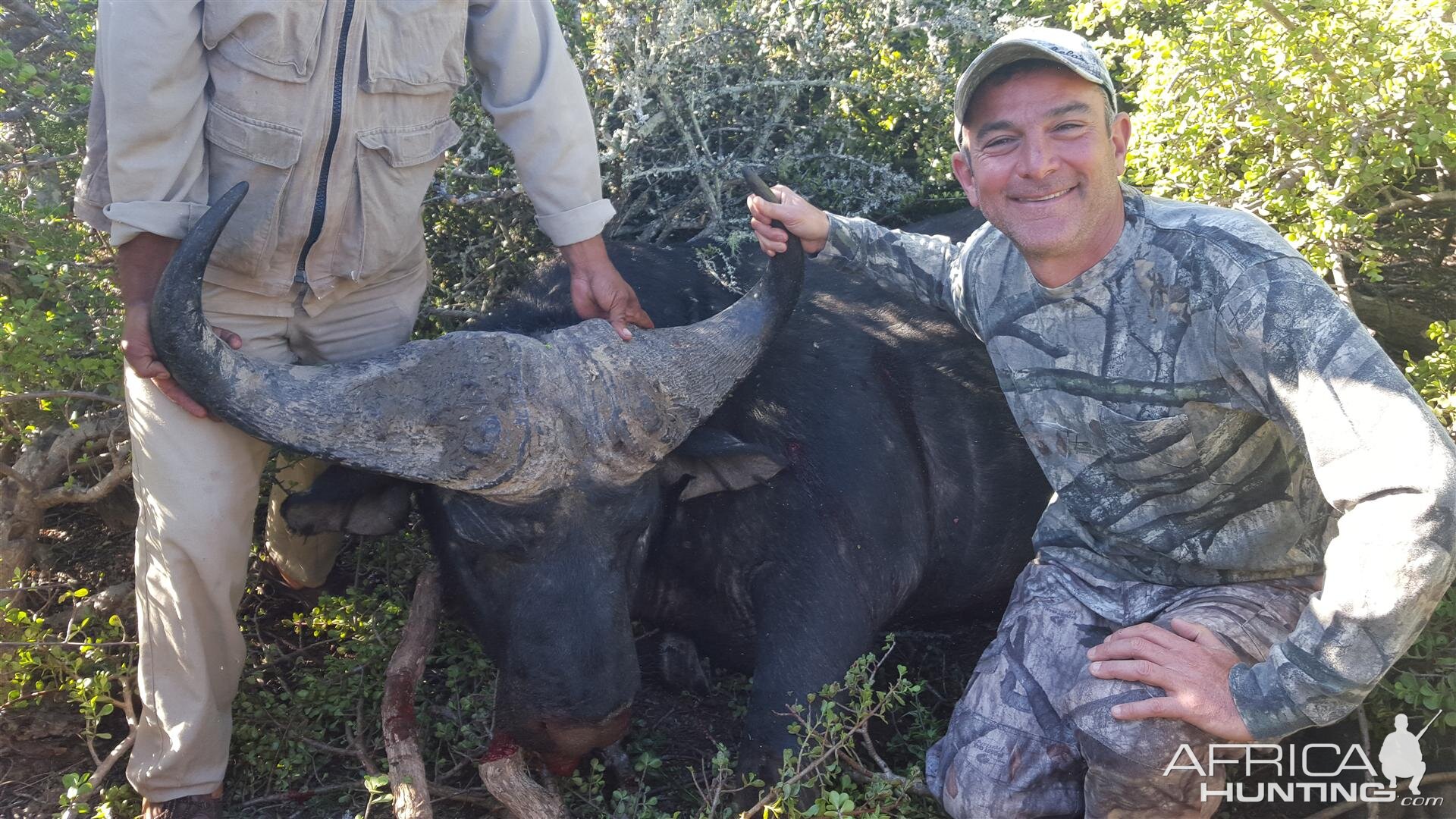 Hunting Buffalo South Africa