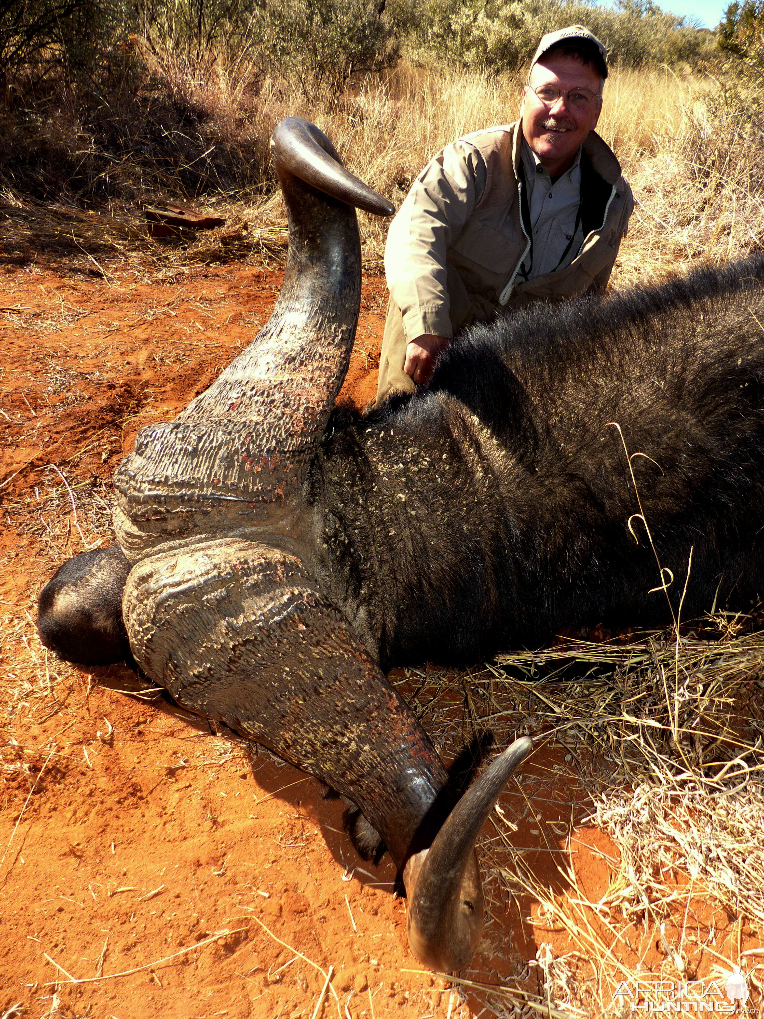 Hunting Buffalo South Africa