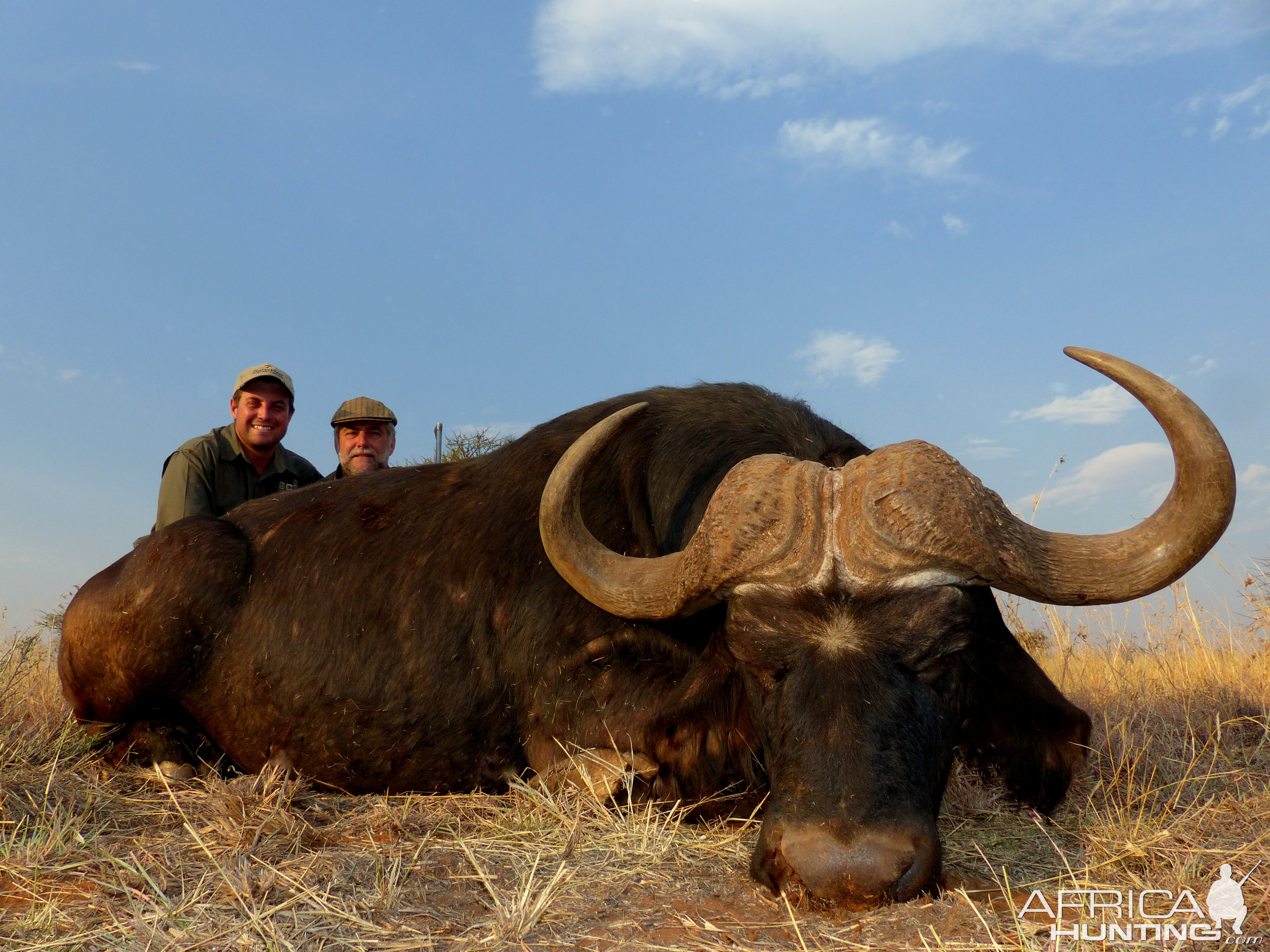 Hunting Buffalo South Africa