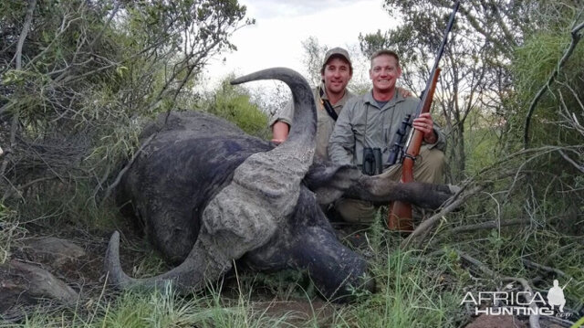 Hunting Buffalo South Africa