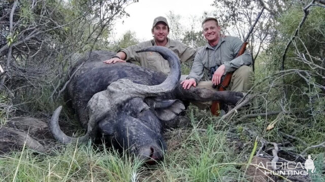 Hunting Buffalo South Africa