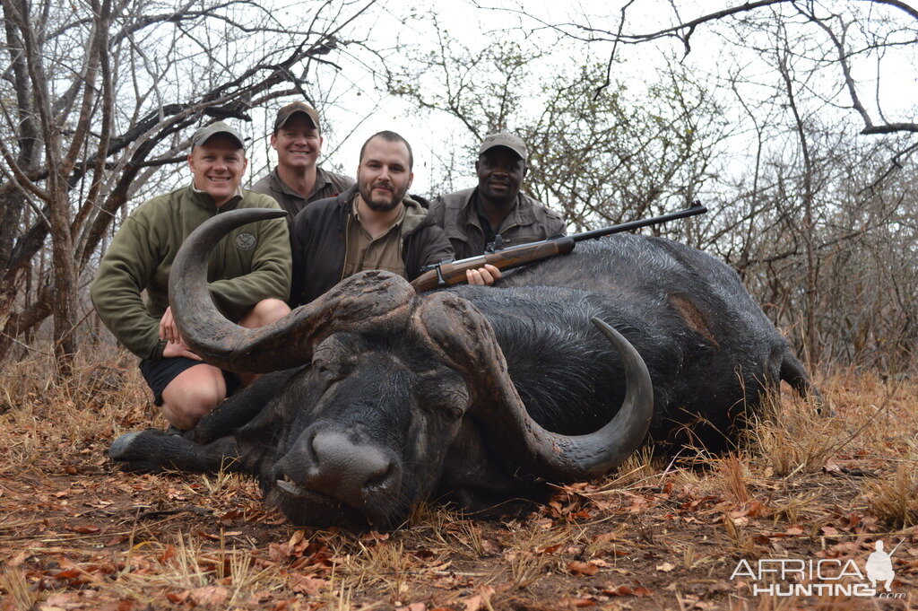 Hunting Buffalo South Africa