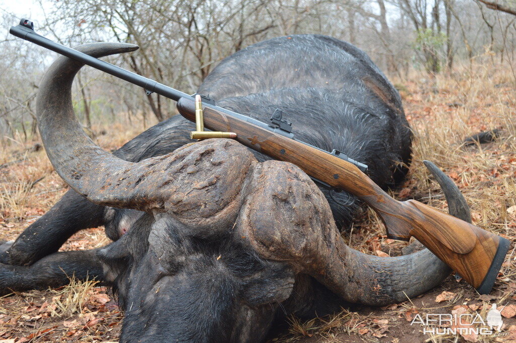 Hunting Buffalo South Africa