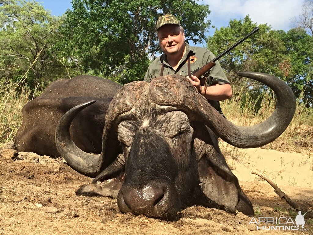 Hunting Buffalo South Africa