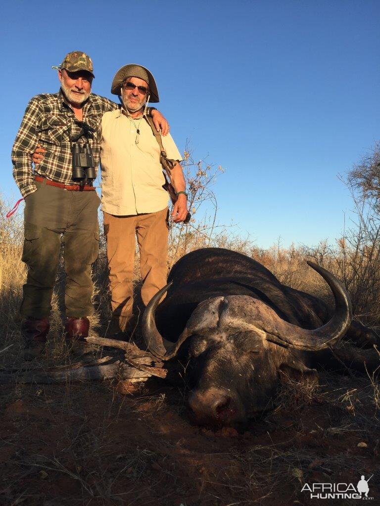 Hunting Buffalo South Africa