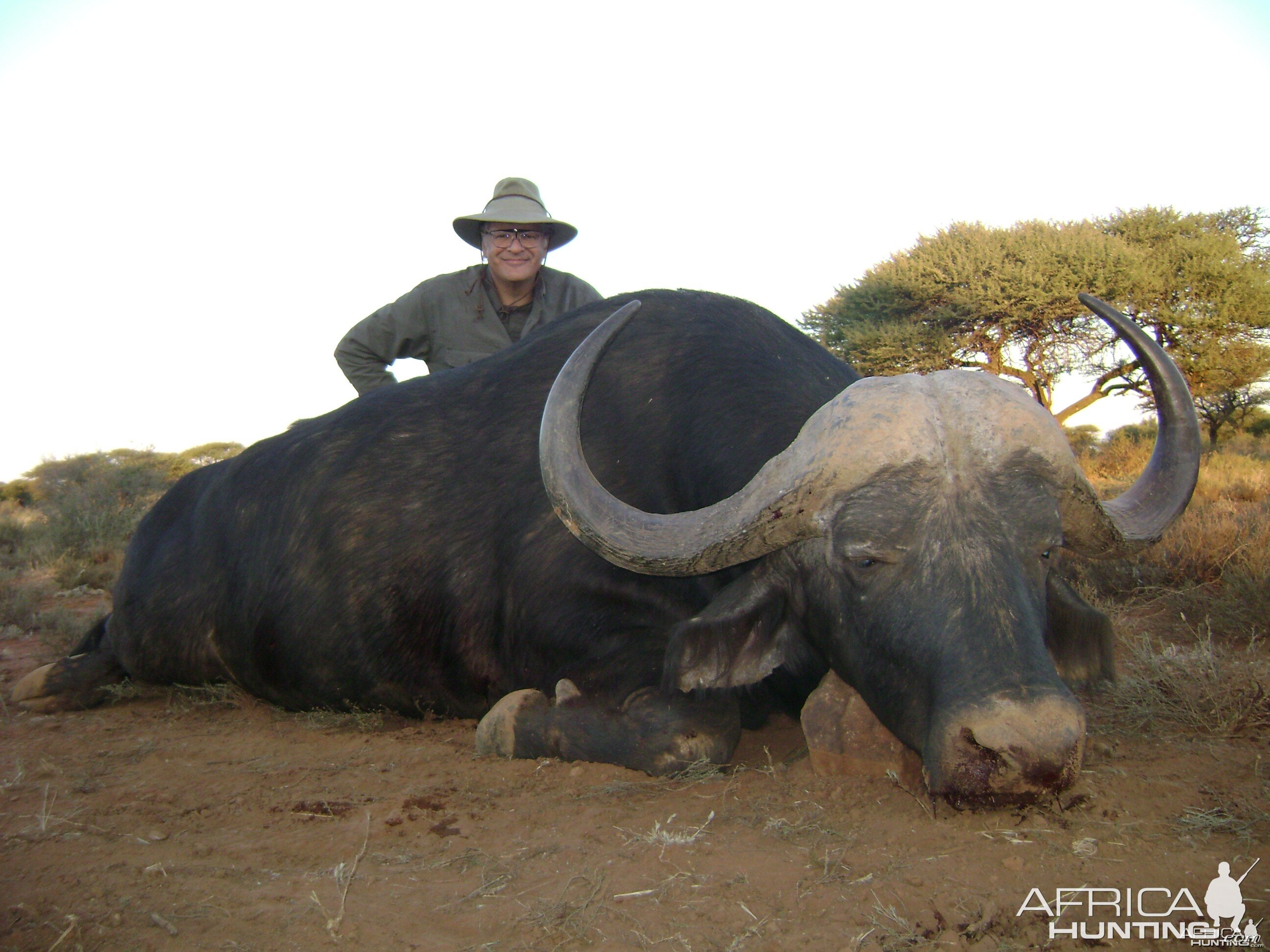 Hunting Buffalo with Wintershoek Johnny Vivier Safaris in SA