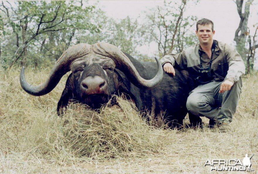 Hunting Buffalo with Wintershoek Johnny Vivier Safaris in SA