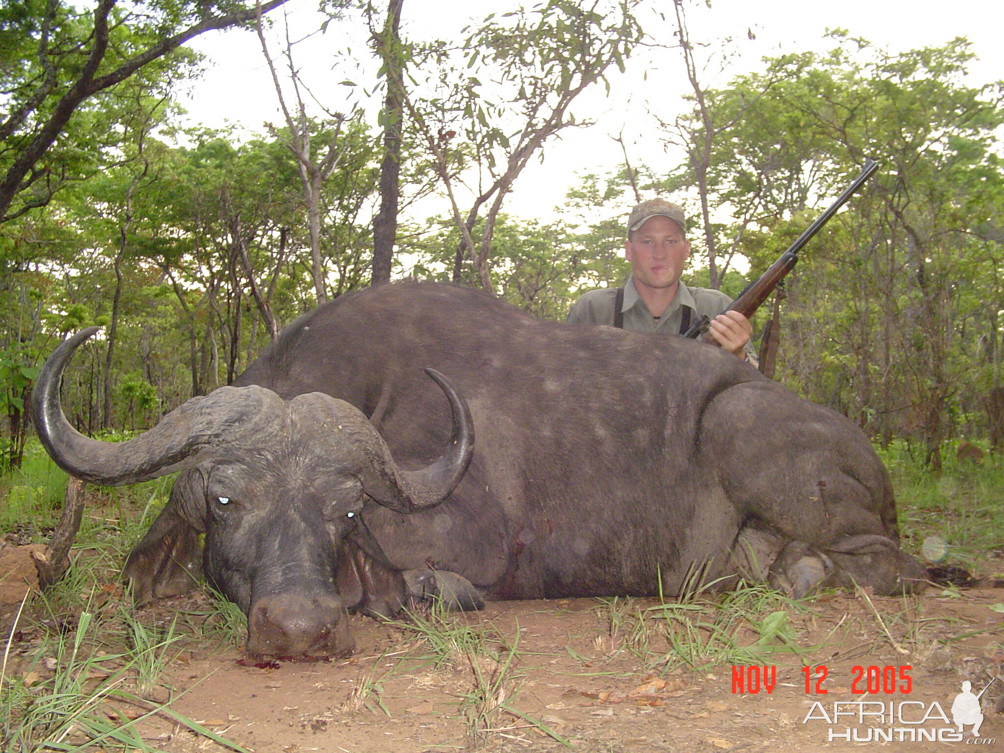 Hunting Buffalo with Wintershoek Johnny Vivier Safaris in SA