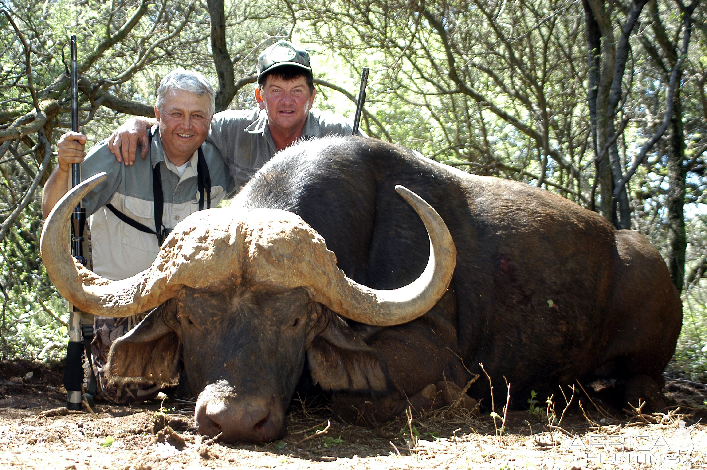 Hunting Buffalo with Wintershoek Johnny Vivier Safaris in SA