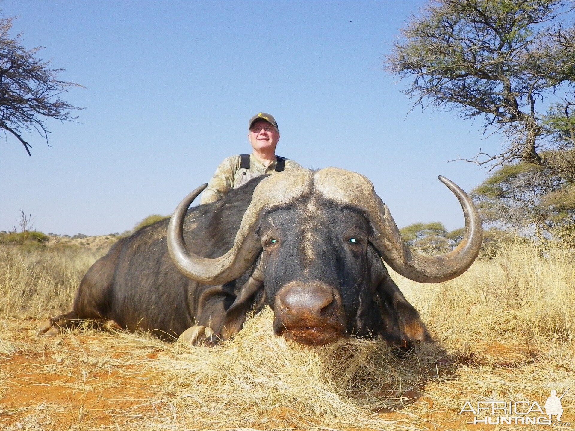 Hunting Buffalo with Wintershoek Johnny Vivier Safaris in SA