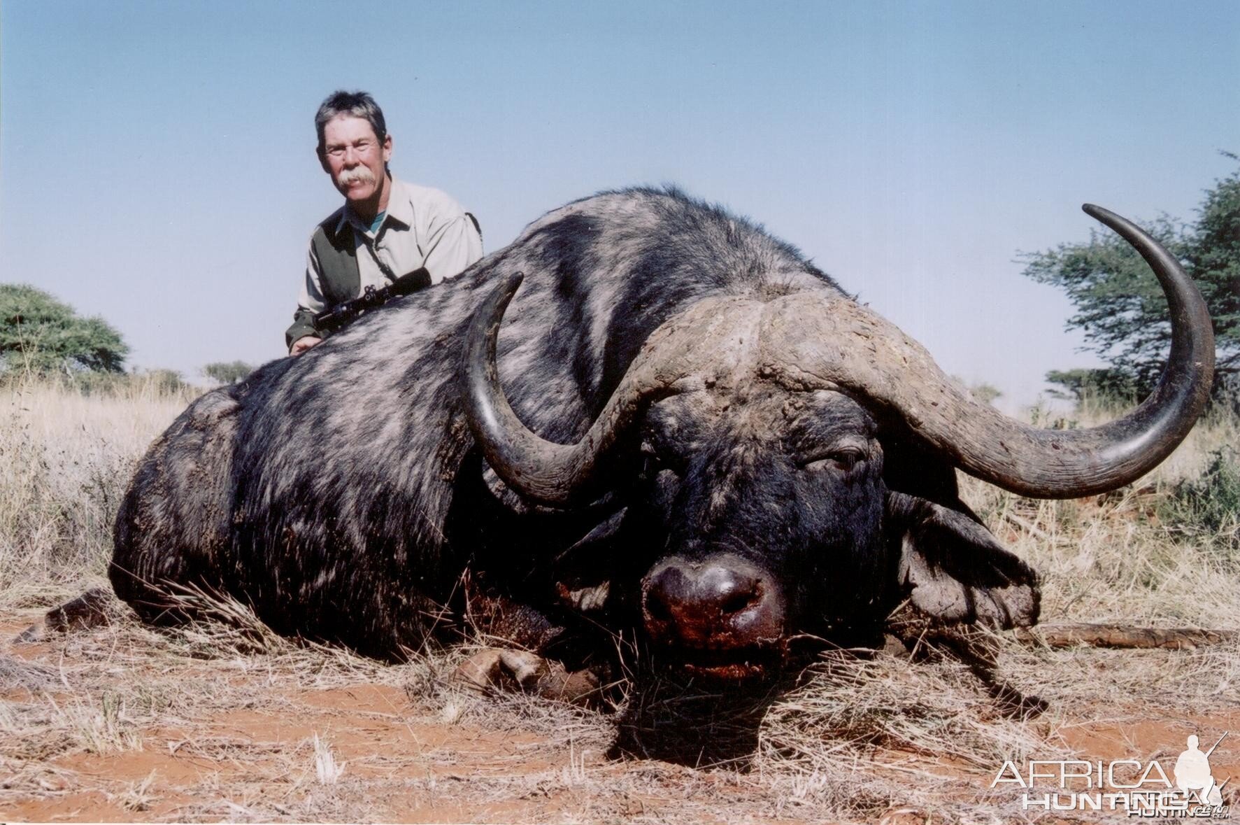 Hunting Buffalo with Wintershoek Johnny Vivier Safaris in SA