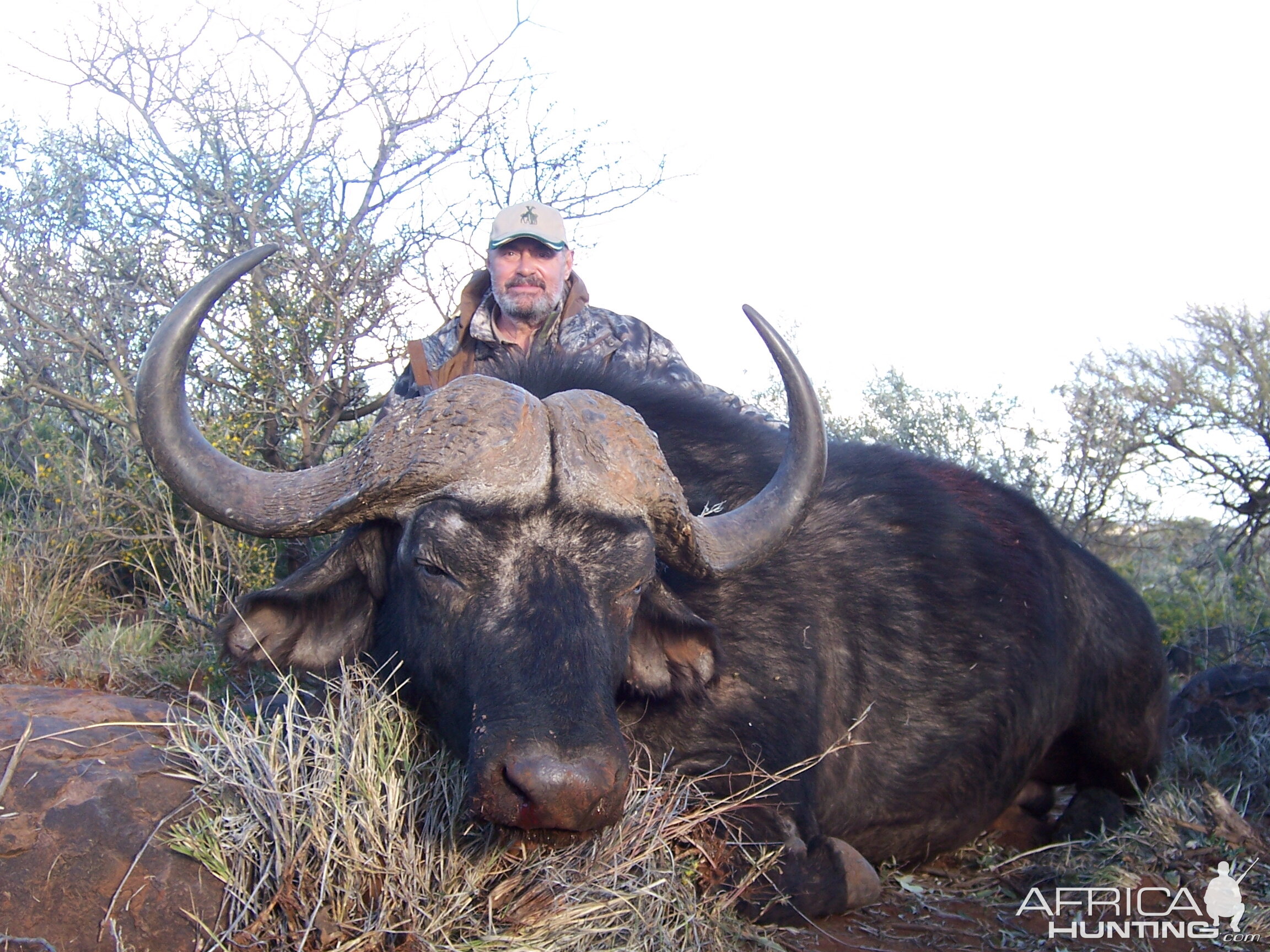 Hunting Buffalo with Wintershoek Johnny Vivier Safaris in SA