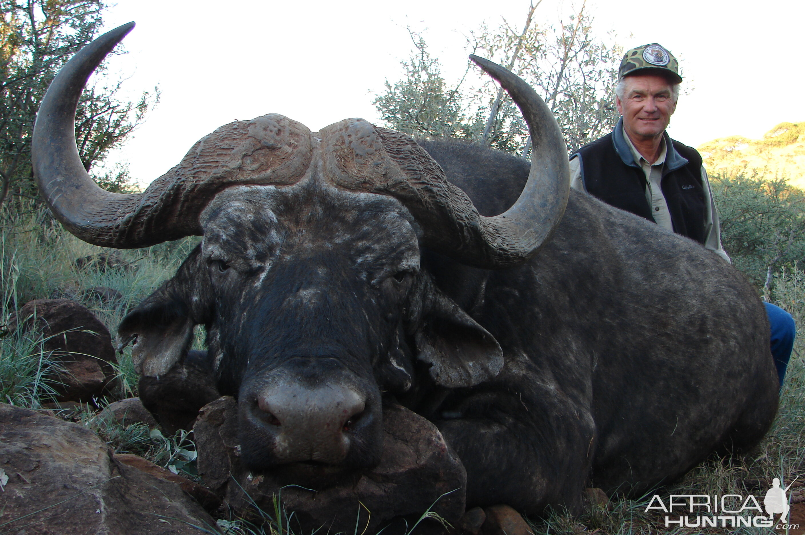 Hunting Buffalo with Wintershoek Johnny Vivier Safaris in SA