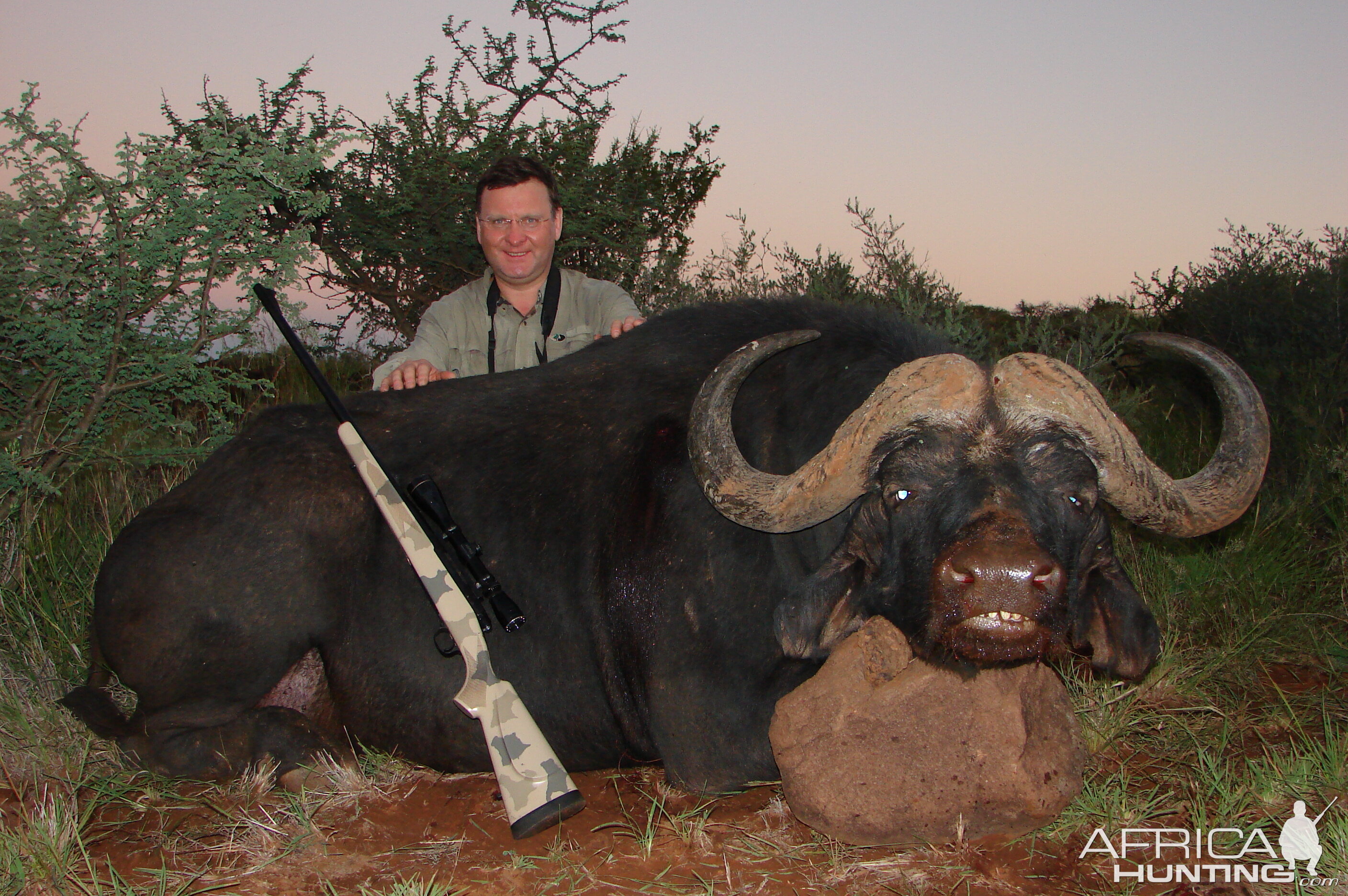 Hunting Buffalo with Wintershoek Johnny Vivier Safaris in SA