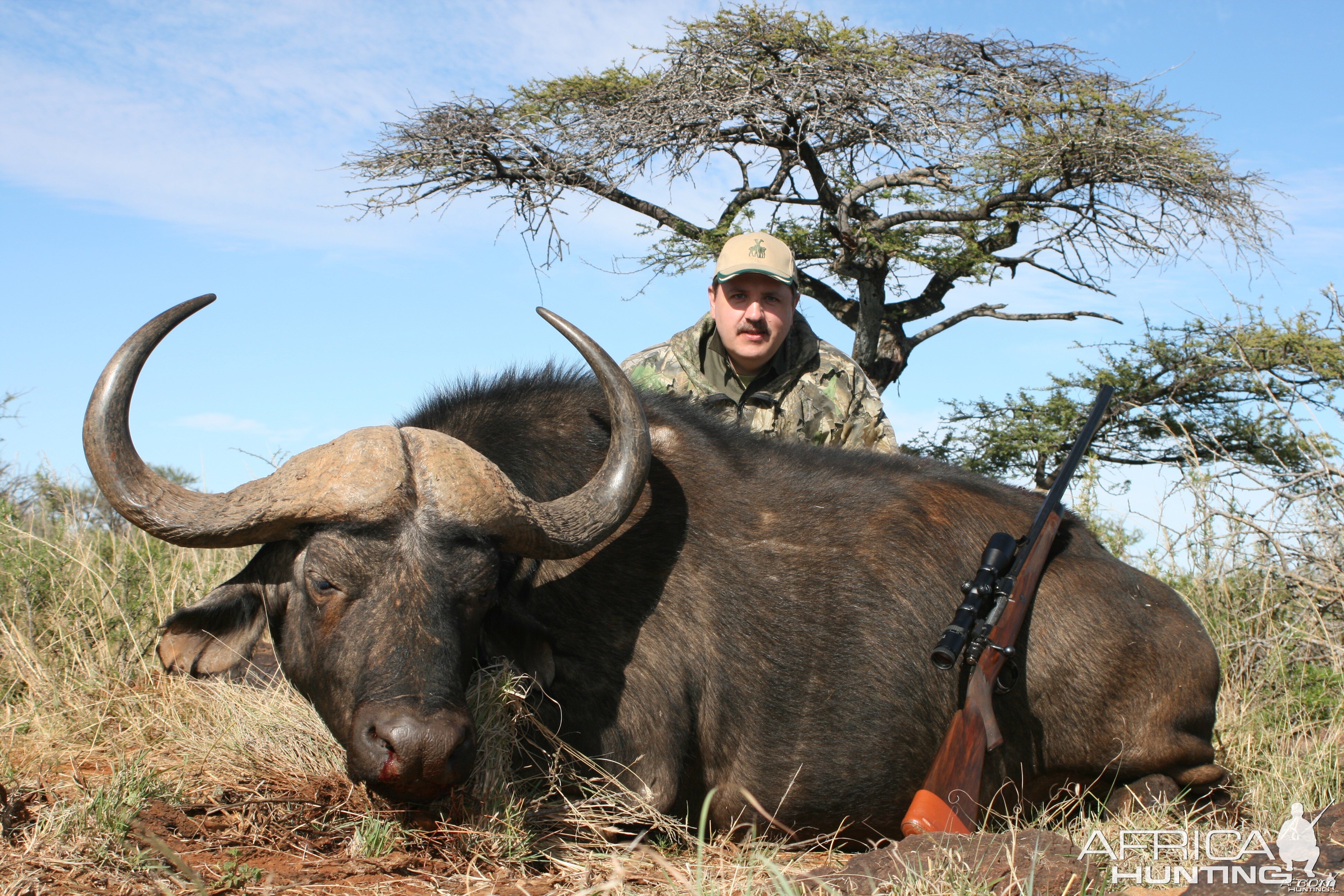 Hunting Buffalo with Wintershoek Johnny Vivier Safaris in SA