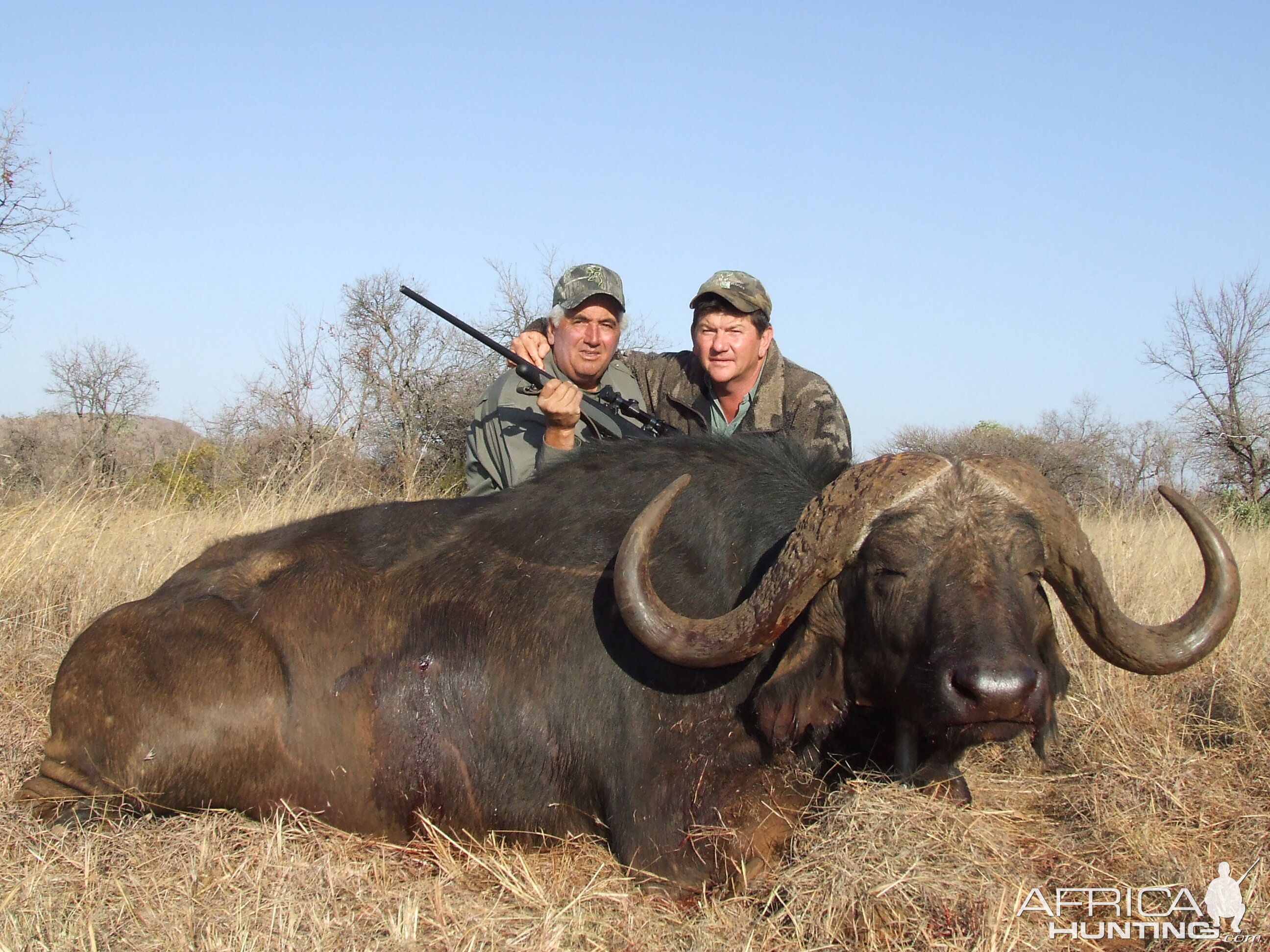 Hunting Buffalo with Wintershoek Johnny Vivier Safaris in SA