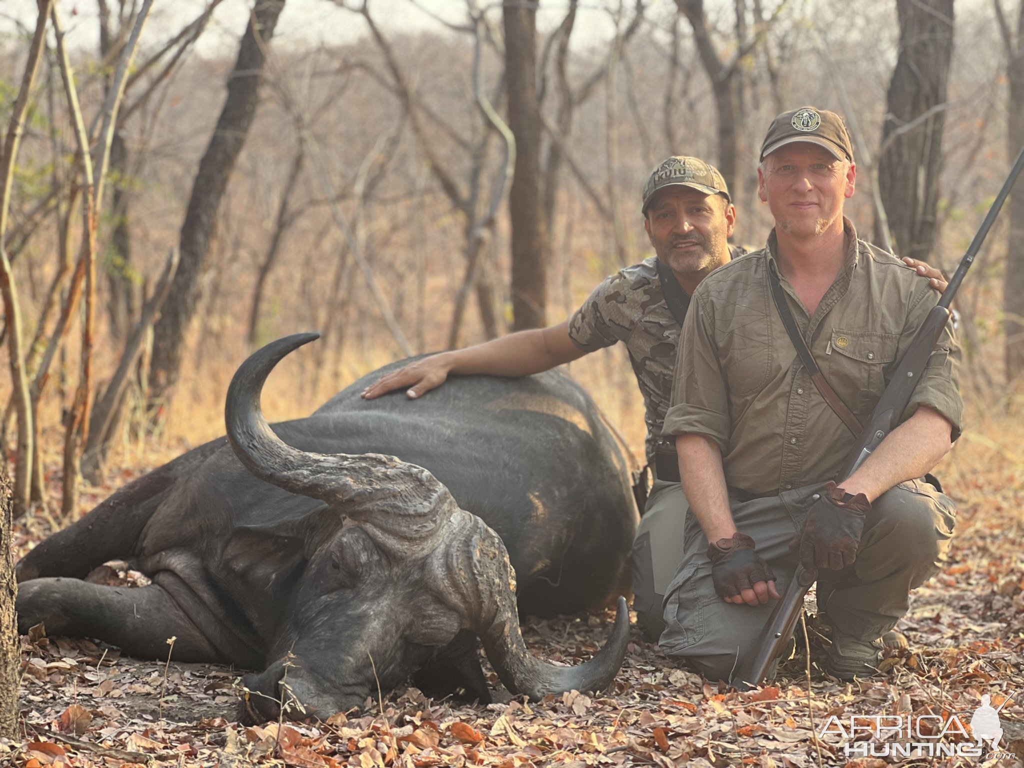 Hunting Buffalo Zambia