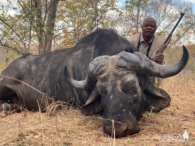 Hunting Buffalo Zimbabwe