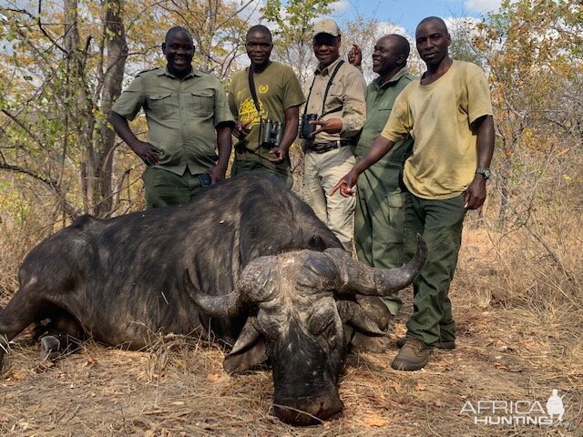 Hunting Buffalo Zimbabwe