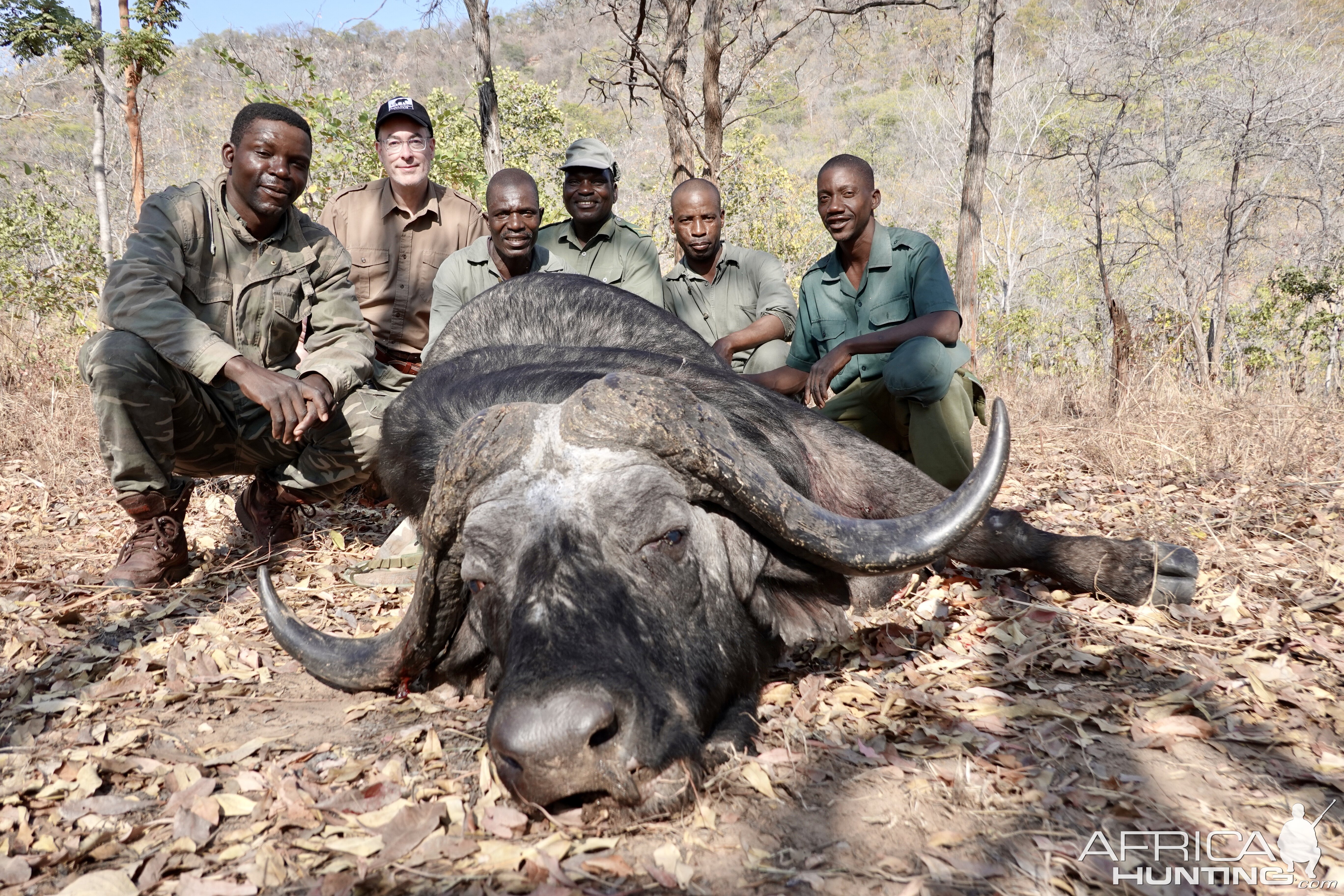 Hunting Buffalo Zimbabwe