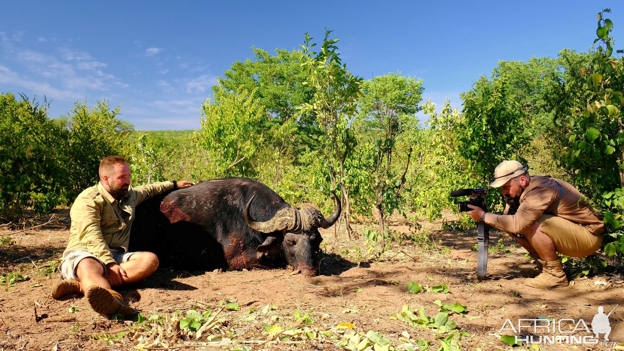 Hunting Buffalo Zimbabwe