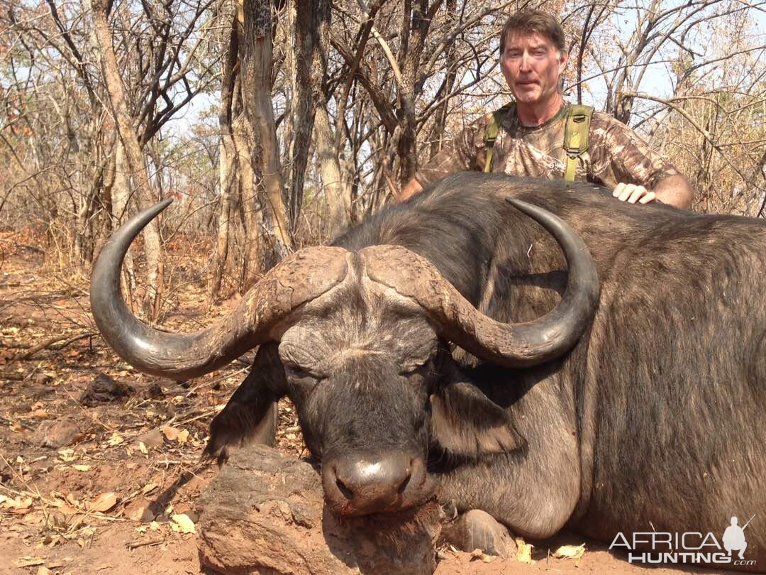 Hunting Buffalo Zimbabwe