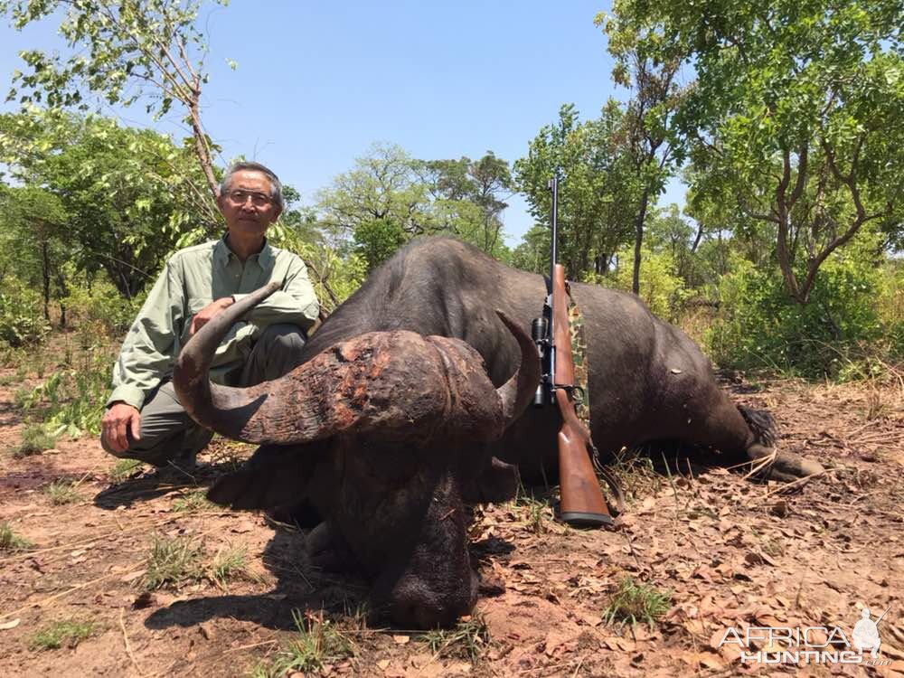 Hunting Buffalo Zimbabwe