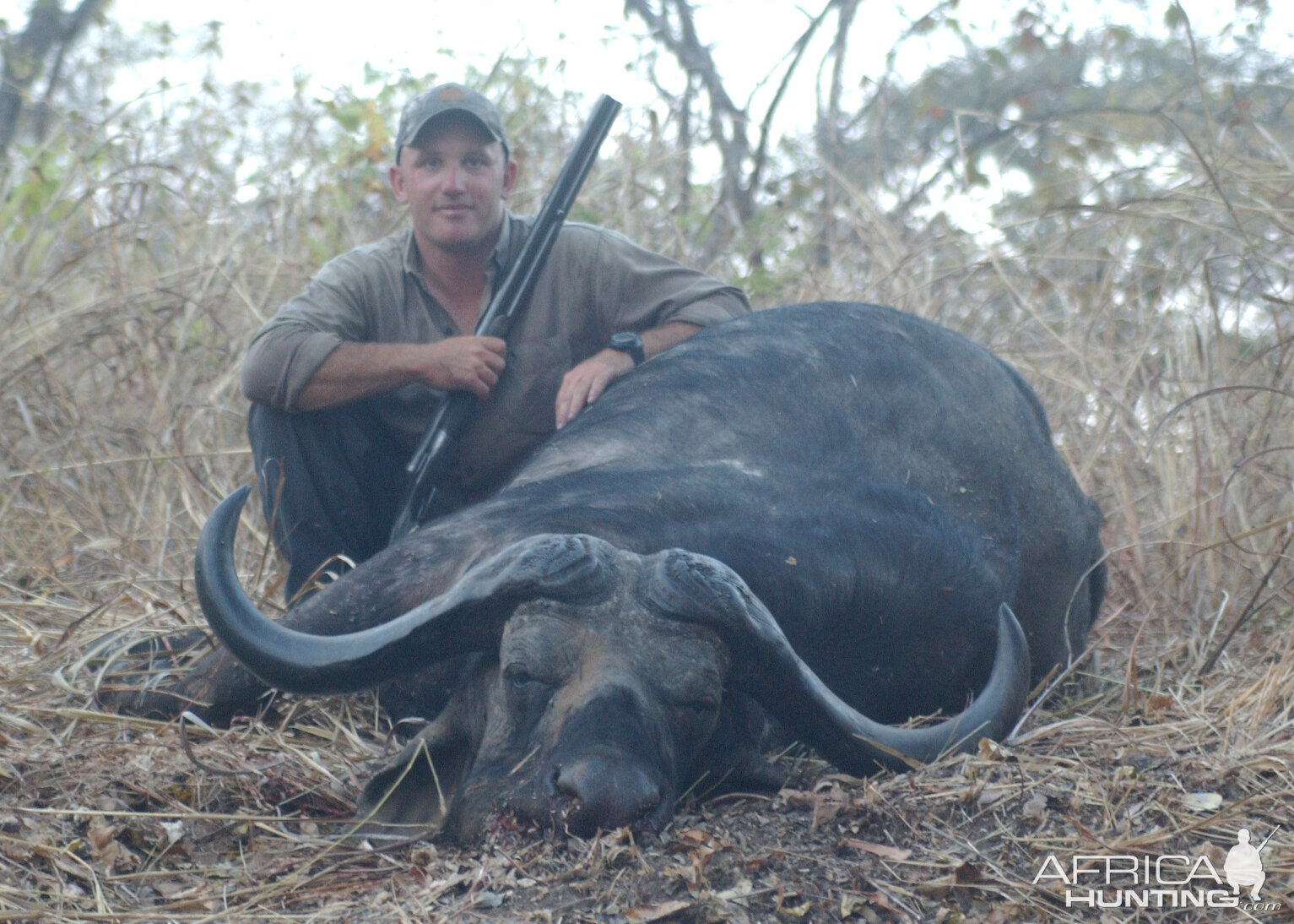 Hunting Buffalo