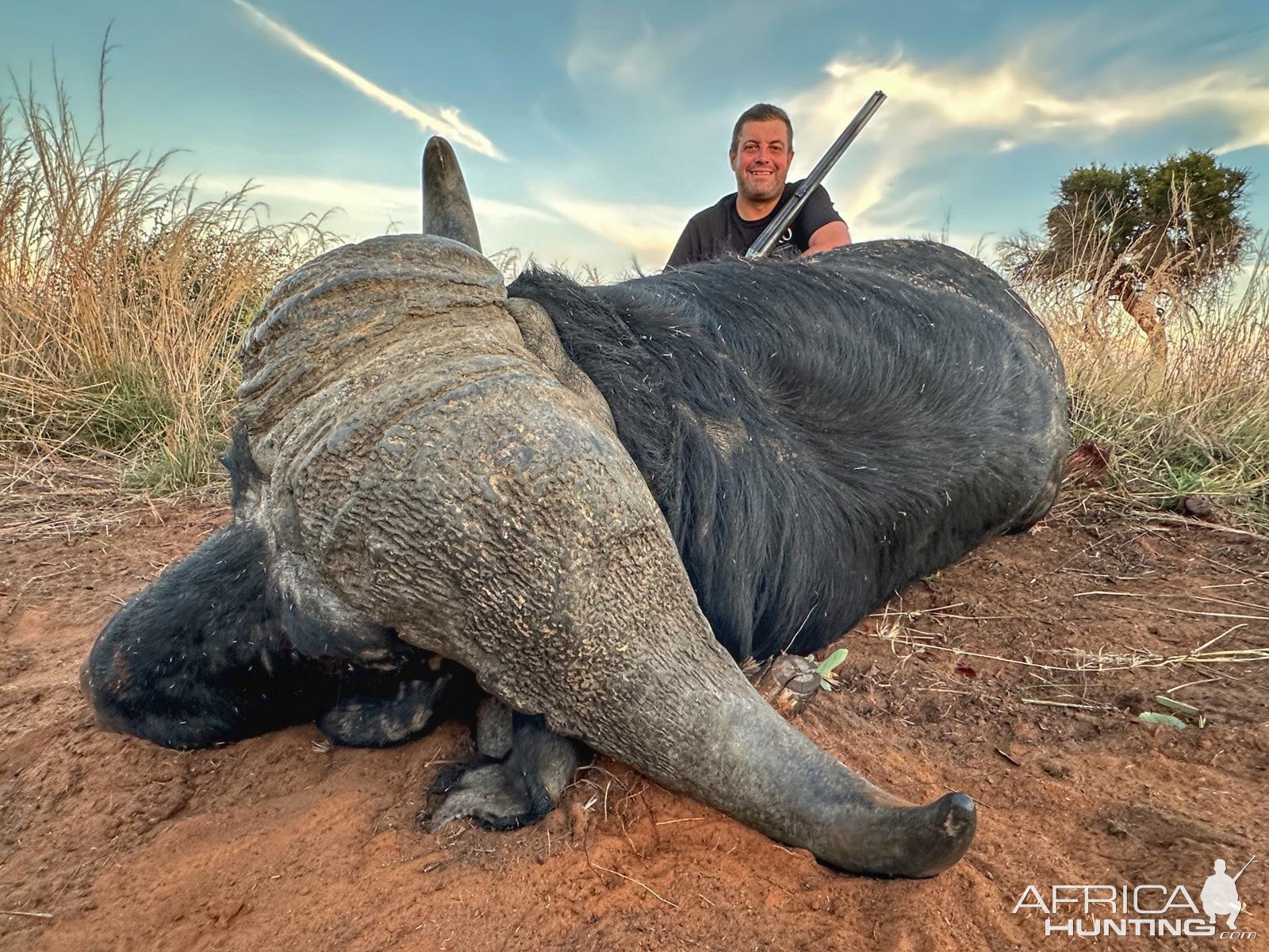 Hunting Buffalo