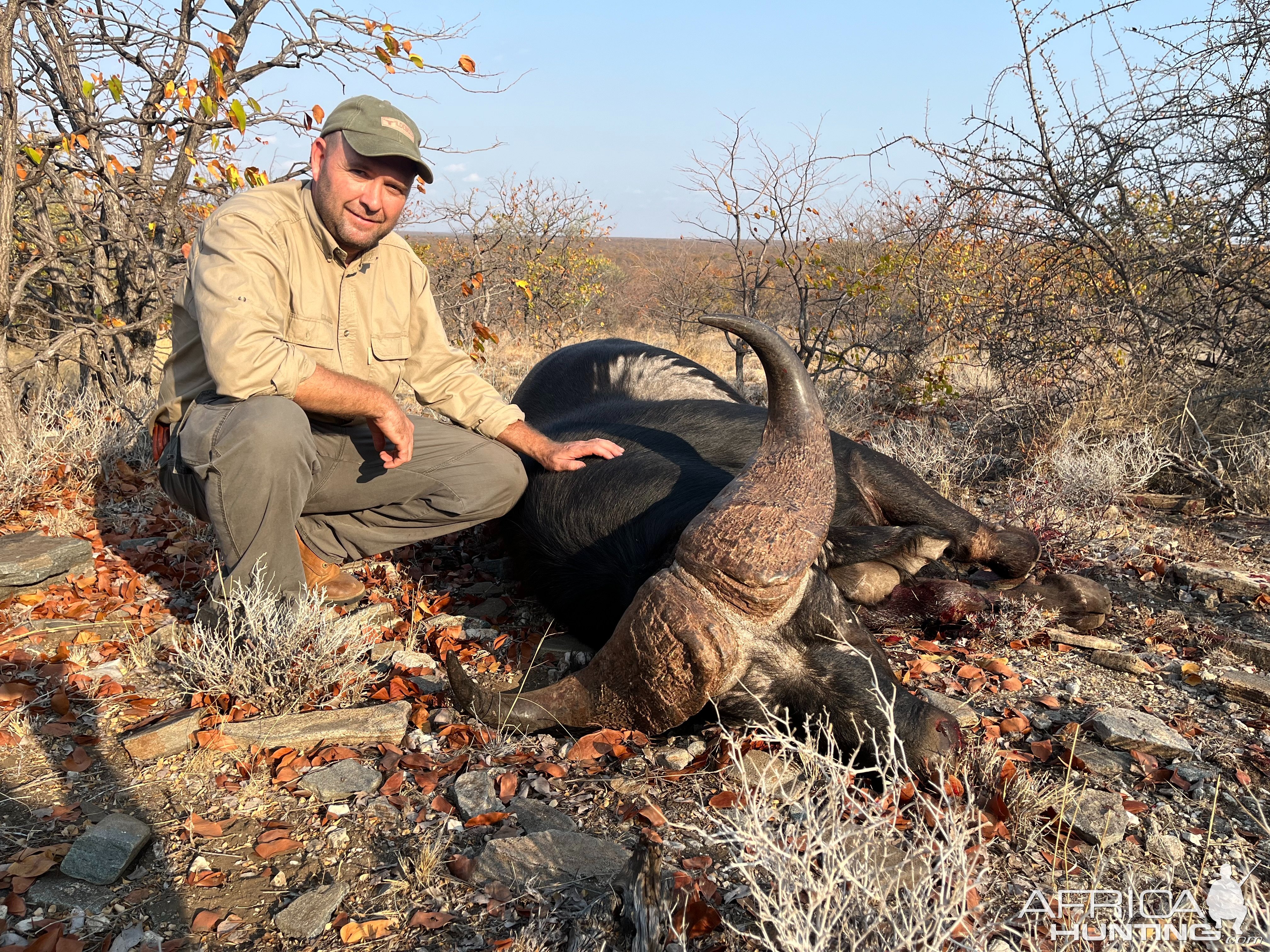 Hunting Buffalo